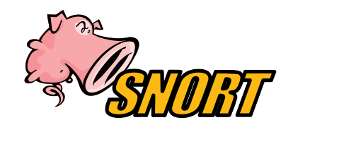 IDS / IPS avec Snort